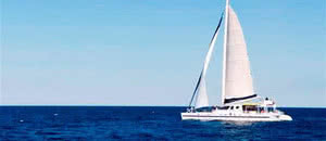 Dream Marie Galante